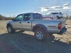Lot #3296352127 2004 TOYOTA TACOMA DOU