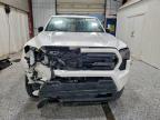 Lot #3312390127 2025 TOYOTA TACOMA XTR