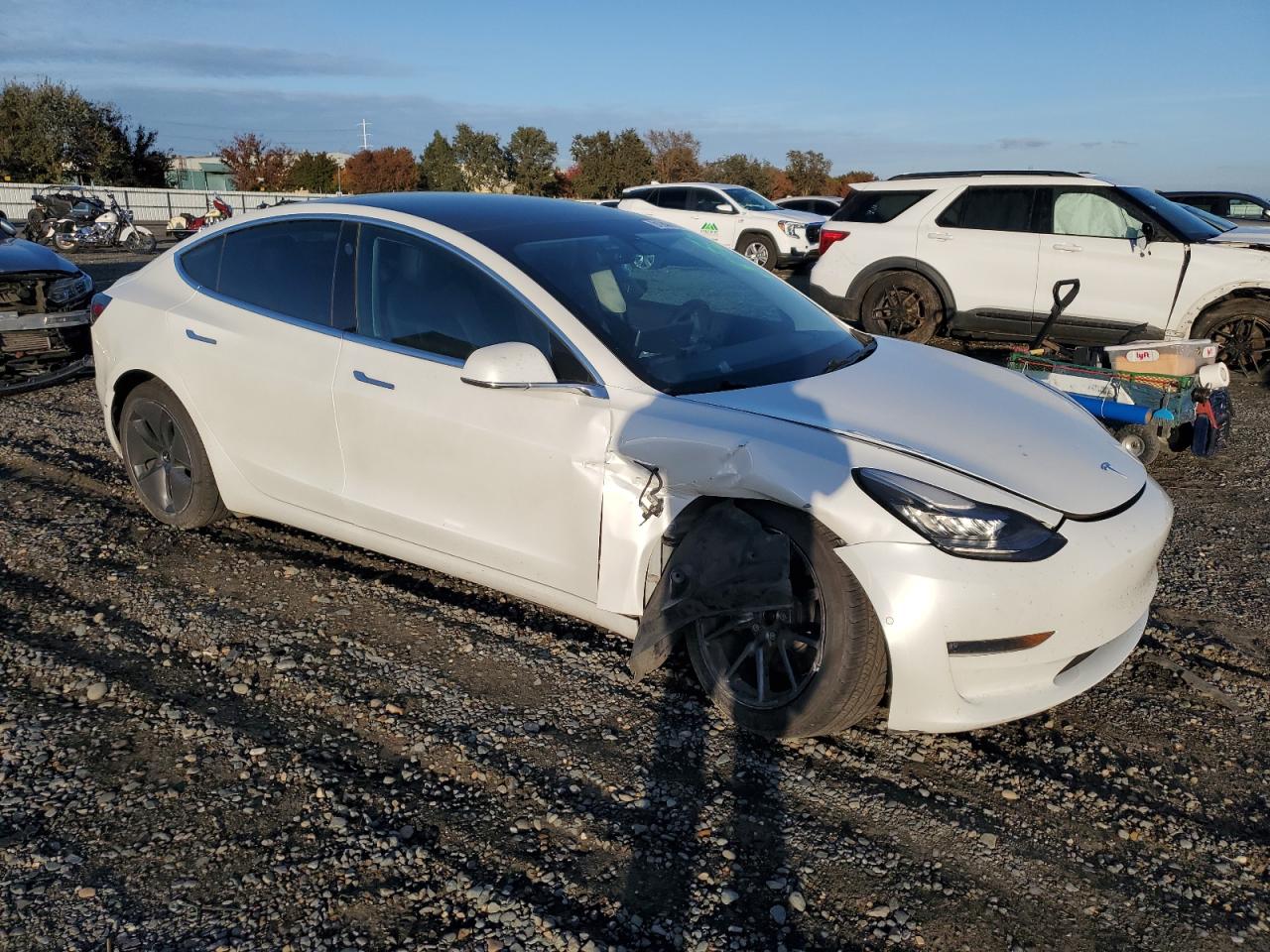 Lot #3318014498 2020 TESLA MODEL 3