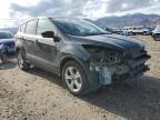 Lot #3292416562 2014 FORD ESCAPE SE