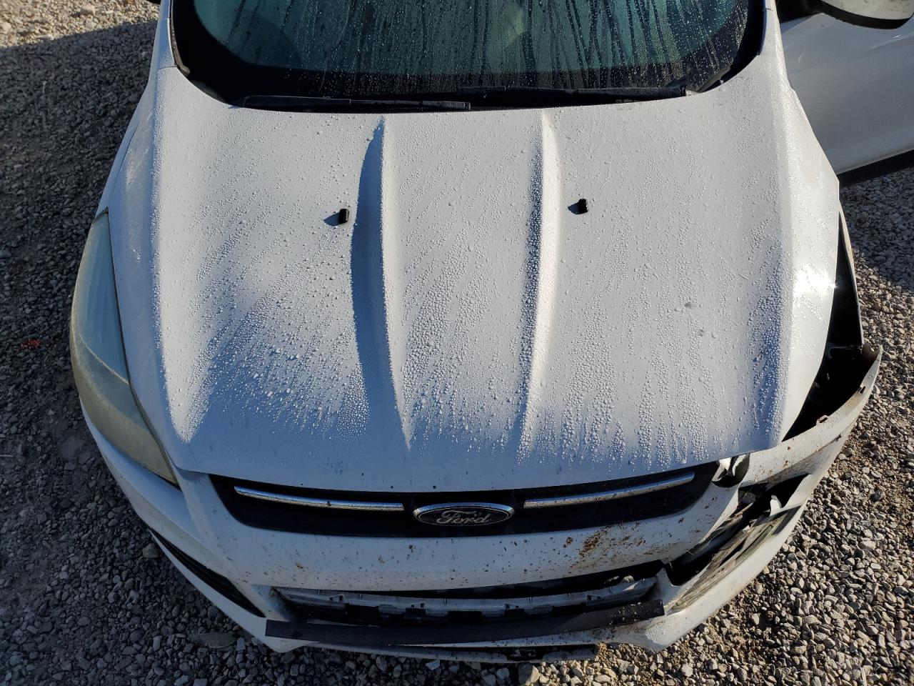 Lot #3284794562 2015 FORD ESCAPE SE