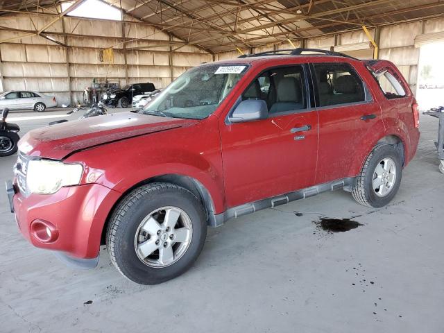 Global Auto Auctions: 2010 FORD ESCAPE XLT