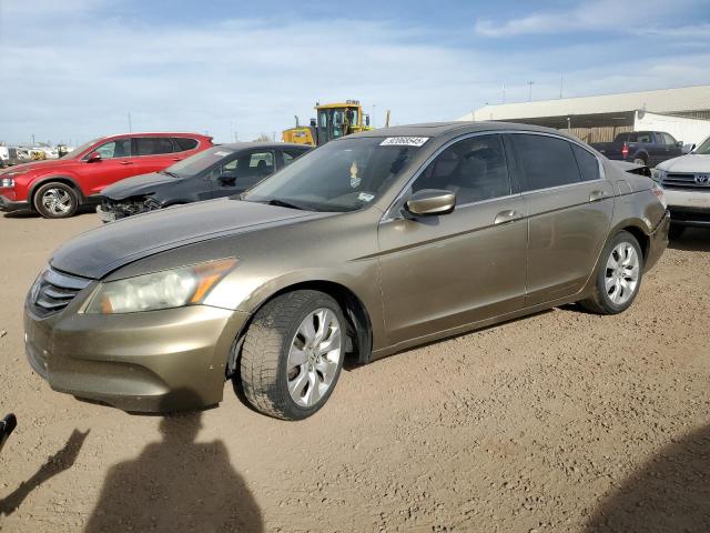 Global Auto Auctions: 2010 HONDA ACCORD EXL