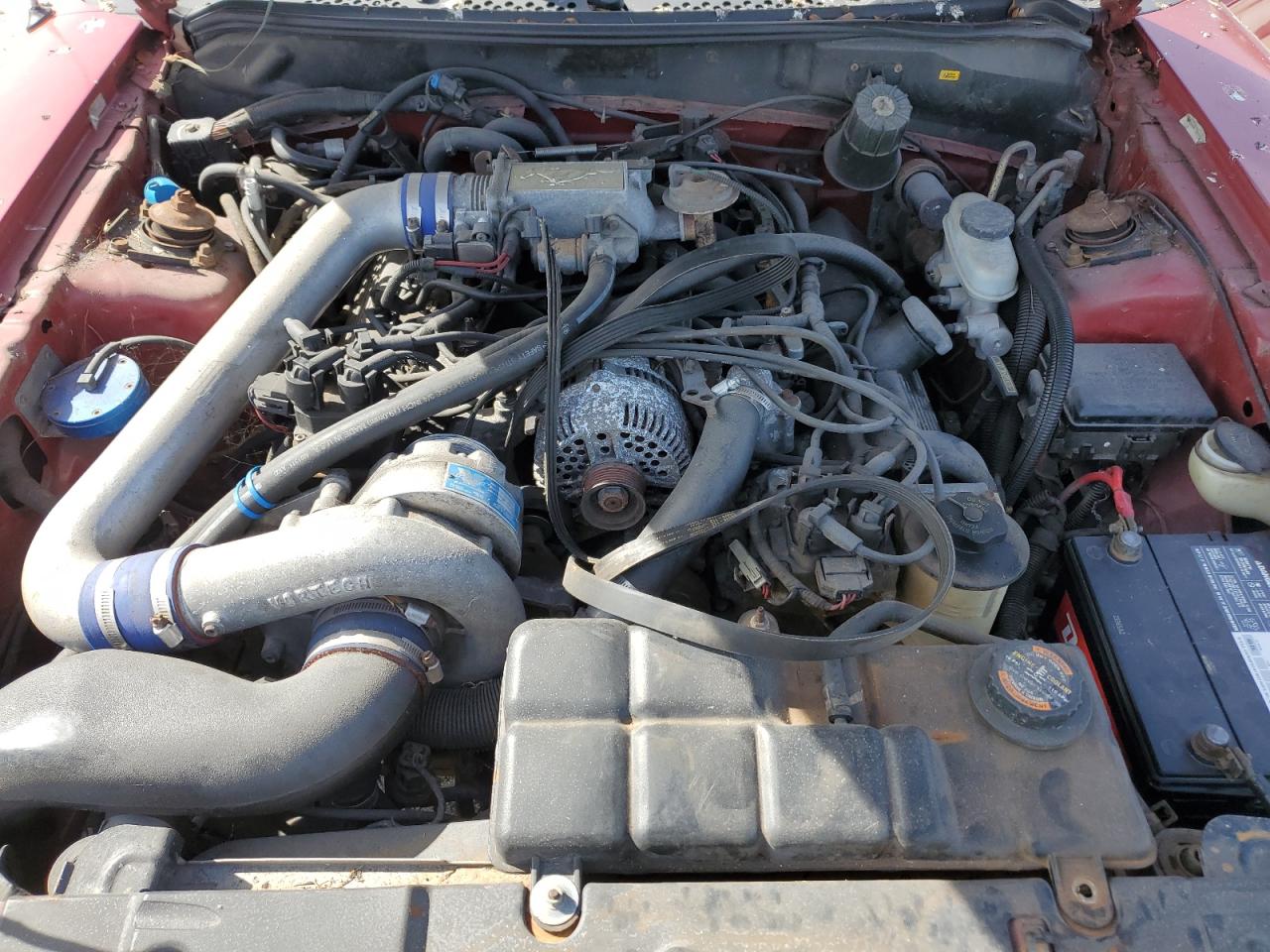 Lot #3284674334 1998 FORD MUSTANG GT