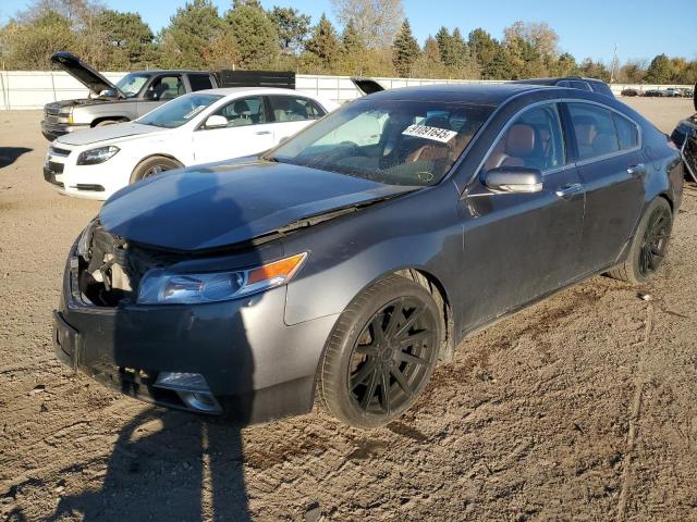 Global Auto Auctions: 2009 ACURA TL