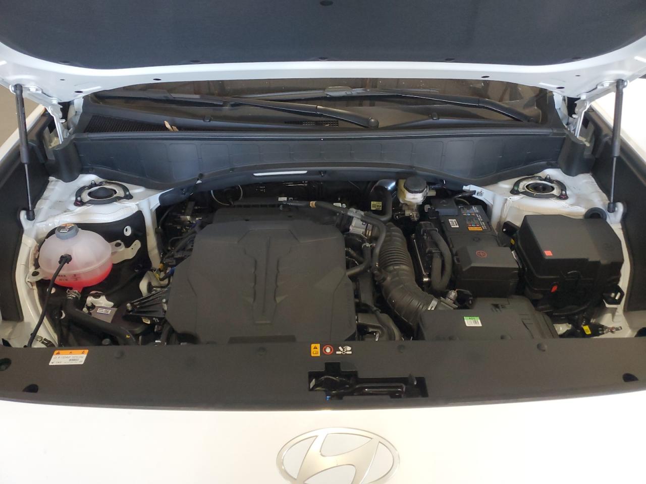 HYUNDAI PALISADE CALLIGRAPHY