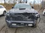 Lot #3297870784 2024 TOYOTA TACOMA DOU