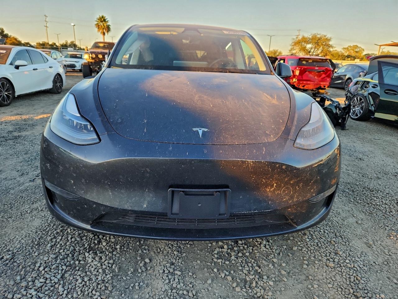 Lot #3318065396 2024 TESLA MODEL Y
