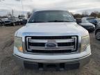 Lot #3312637163 2014 FORD F150