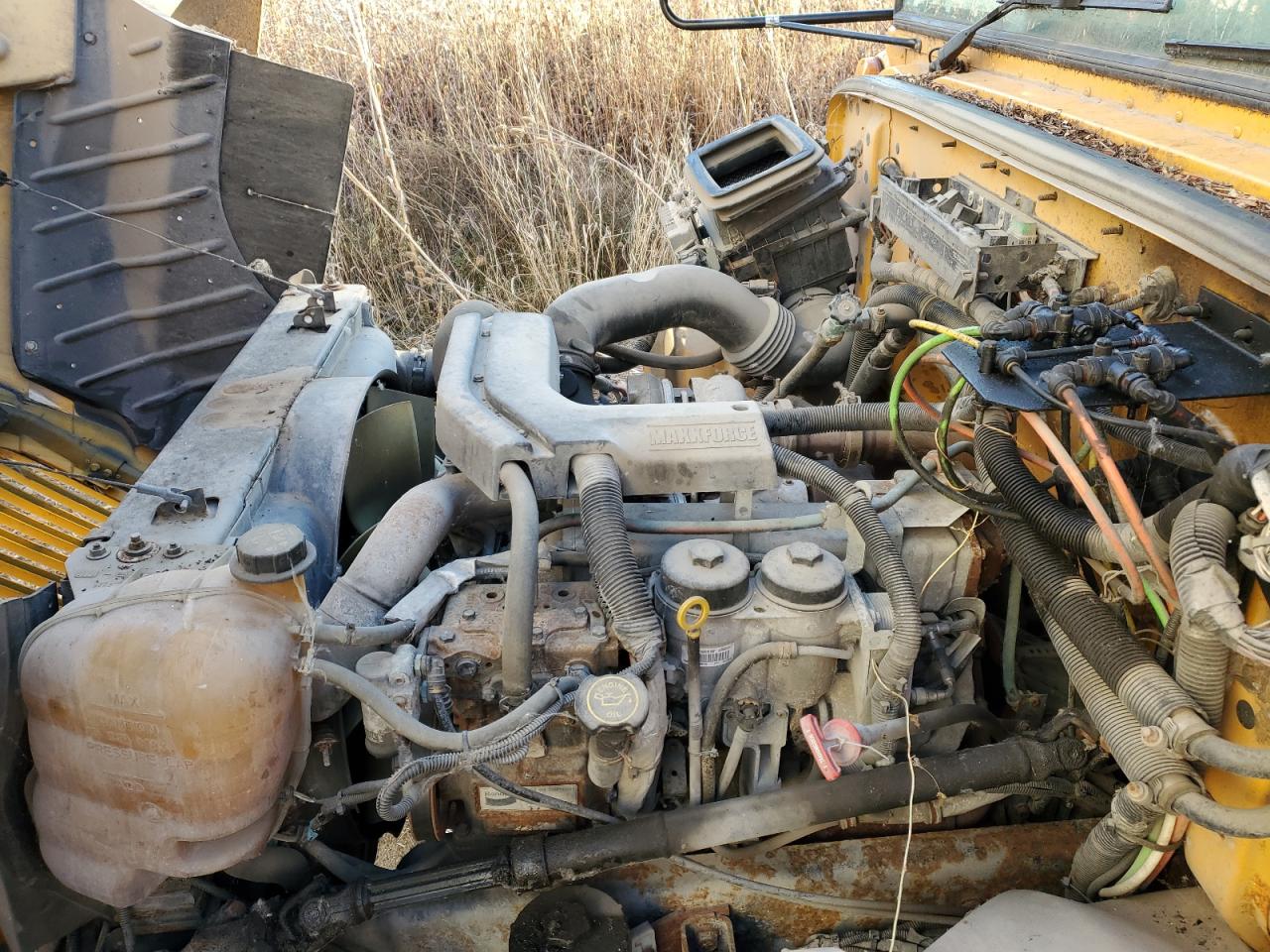 Lot #3285637327 2013 IC CORPORATION CE SERIES SCHOOL