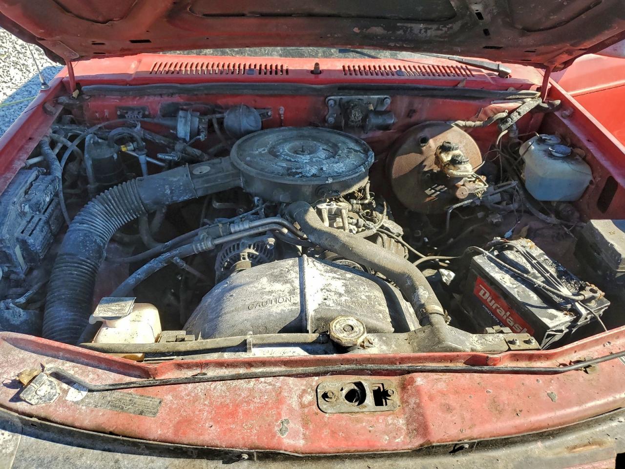 Lot #3297131496 1994 DODGE DAKOTA