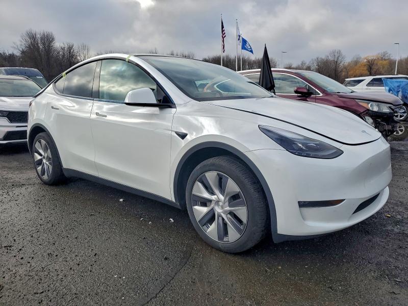 2023 TESLA MODEL Y #3308337053