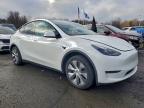 Lot #3308337053 2023 TESLA MODEL Y