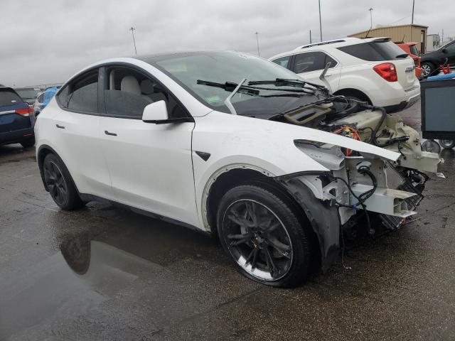2021 TESLA MODEL Y #3301689654