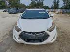 Lot #3303944718 2013 HYUNDAI ELANTRA CO