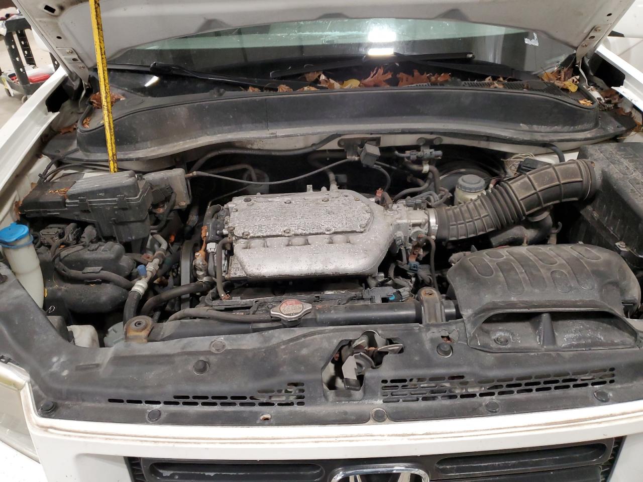 Lot #3284863081 2006 HONDA RIDGELINE