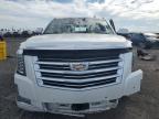 Lot #3304797354 2017 CADILLAC ESCALADE P