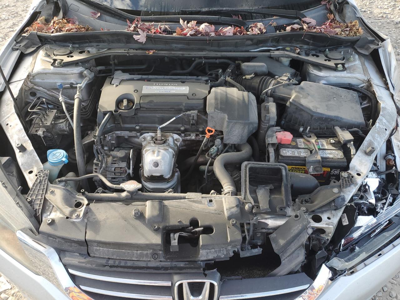 HONDA ACCORD EXL