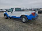 Lot #3296208457 2011 FORD F150