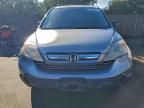 Lot #3303862786 2008 HONDA CR-V EX