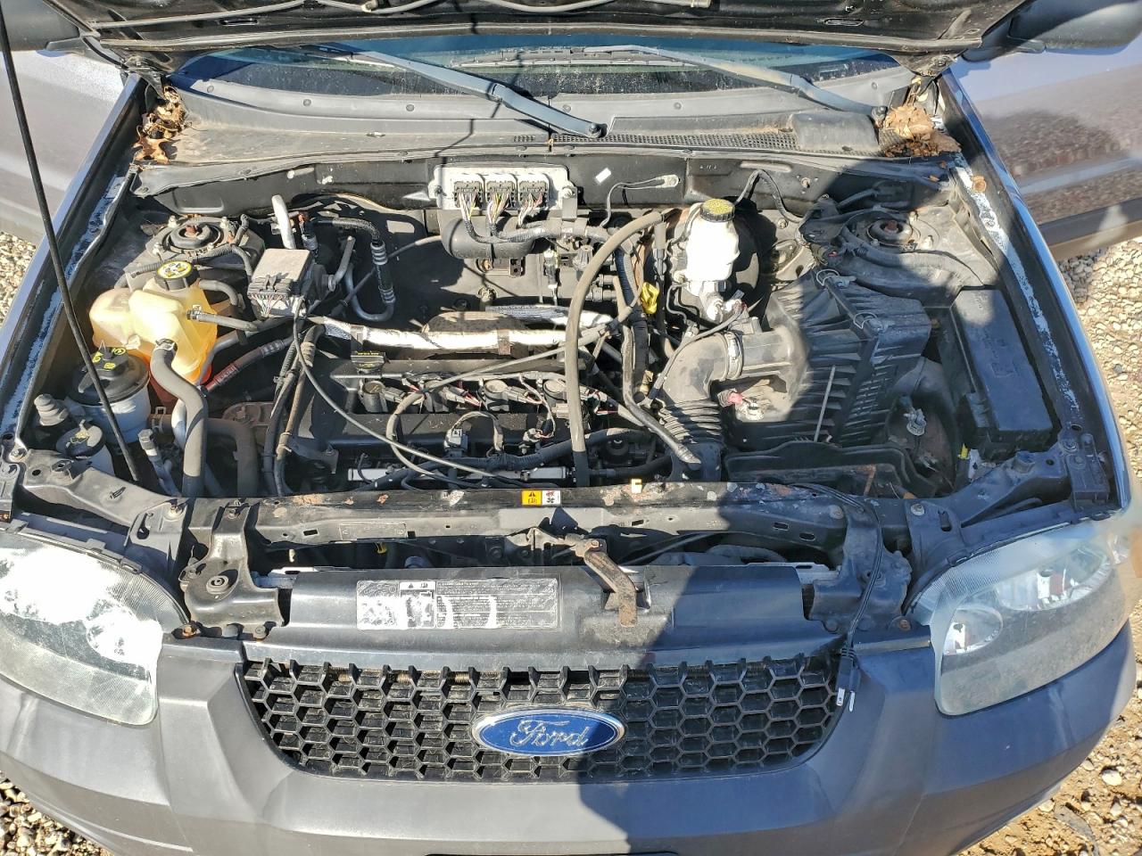 Lot #3297017368 2007 FORD ESCAPE XLT