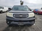 Lot #3305315330 2013 HONDA PILOT EXL
