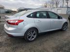 Lot #3301909465 2014 FORD FOCUS SE