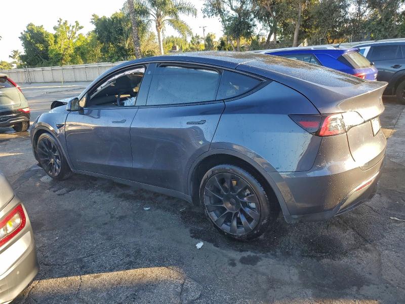 2022 TESLA MODEL Y #3304683918