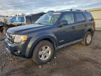 Lot #3315886087 2008 FORD ESCAPE HEV