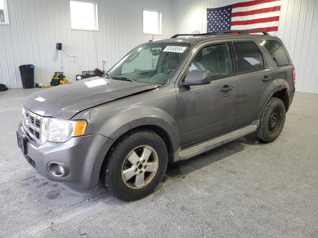 Global Auto Auctions: 2011 FORD ESCAPE XLT