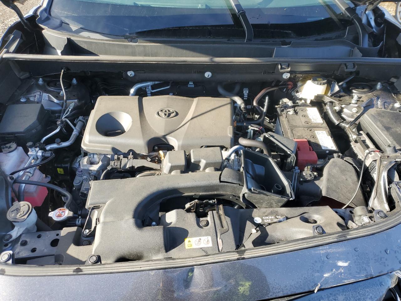 TOYOTA RAV4 XLE PREMIUM