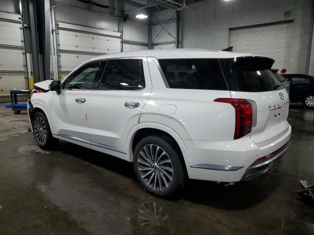 2023 HYUNDAI PALISADE C #3302691006