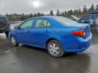 Lot #3297999071 2009 TOYOTA COROLLA BA