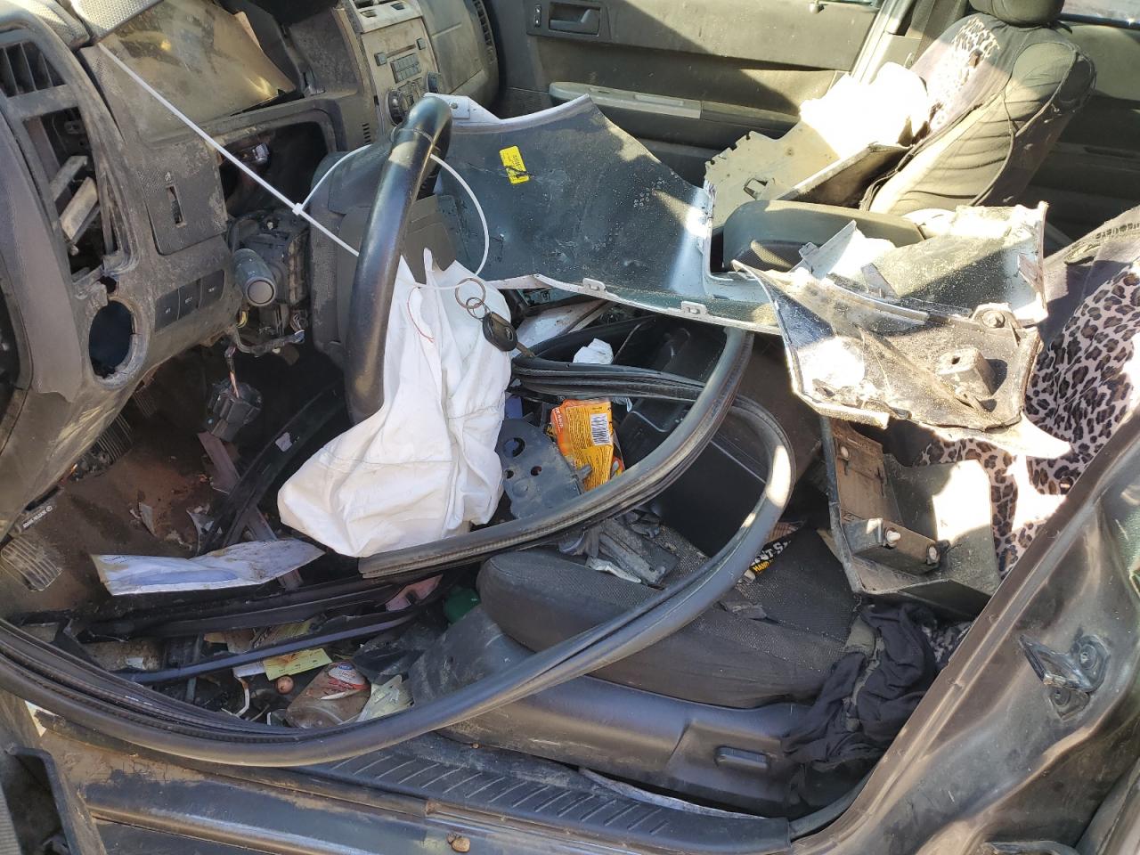 Lot #3296520337 2009 FORD ESCAPE XLT