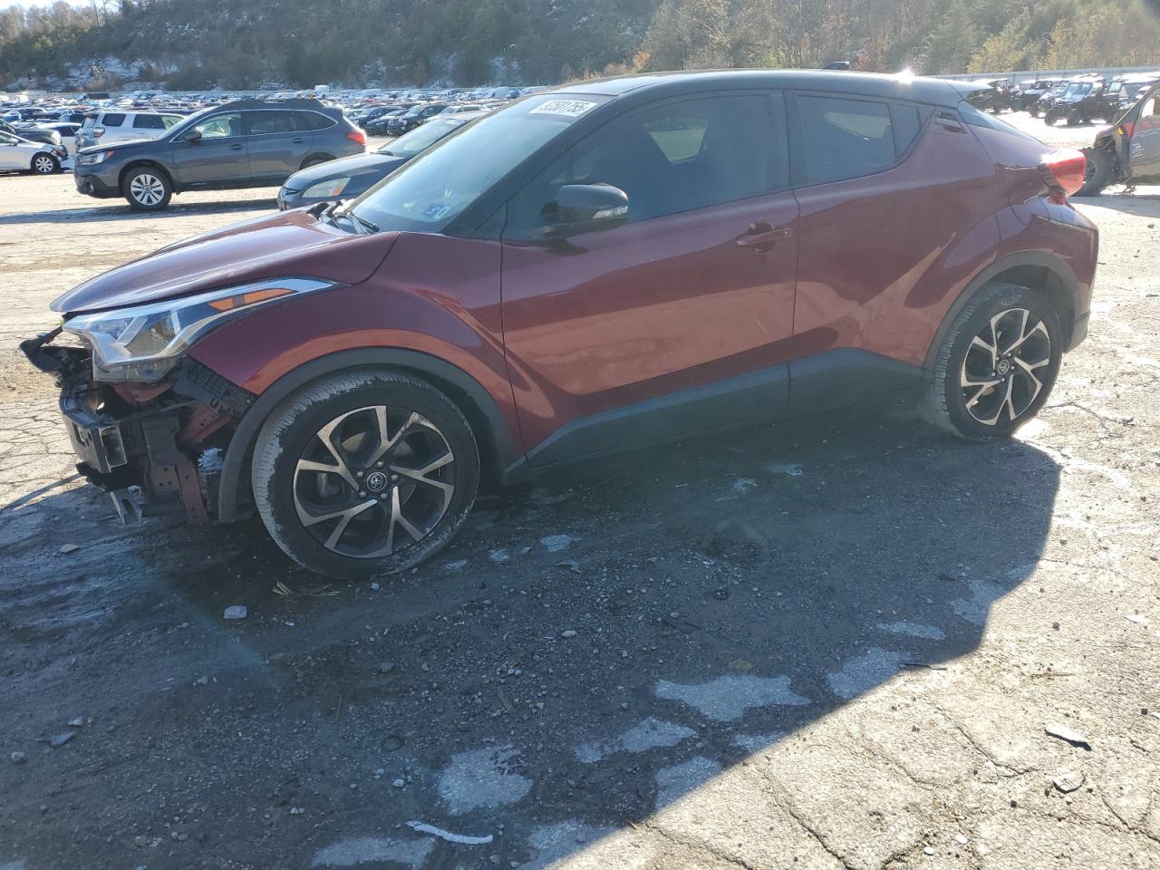 TOYOTA C-HR XLE