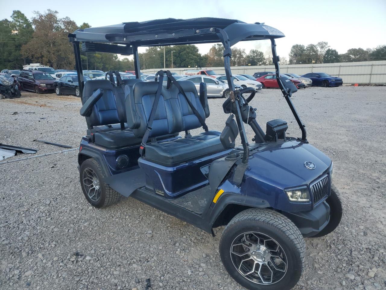 Lot #3315752345 2024 EVOLUTION UNKNOWN