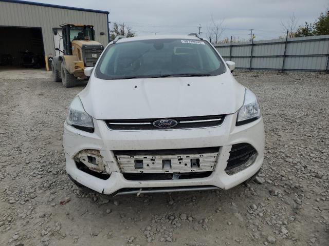 2014 FORD ESCAPE TIT #3301698636