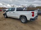 Lot #3294316887 2024 CHEVROLET SILVERADO