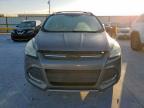 Lot #3309403964 2013 FORD ESCAPE SE