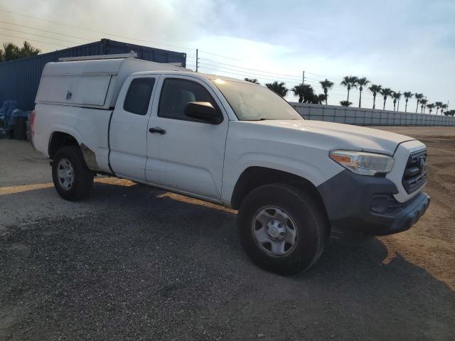 2024 TOYOTA TACOMA ACC #3292427552