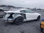 Lot #3292503679 2019 FORD MUSTANG