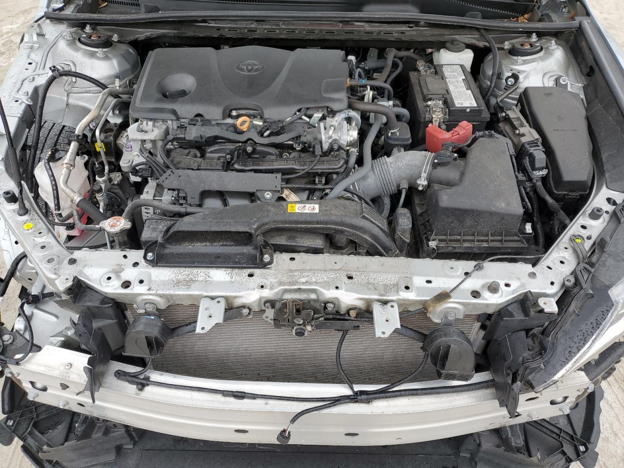 4T1C11AK6MU445336 TOYOTA CAMRY 2021