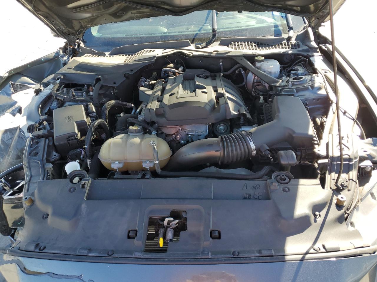 1FATP8UH5K5170227 FORD ALL Models 2019