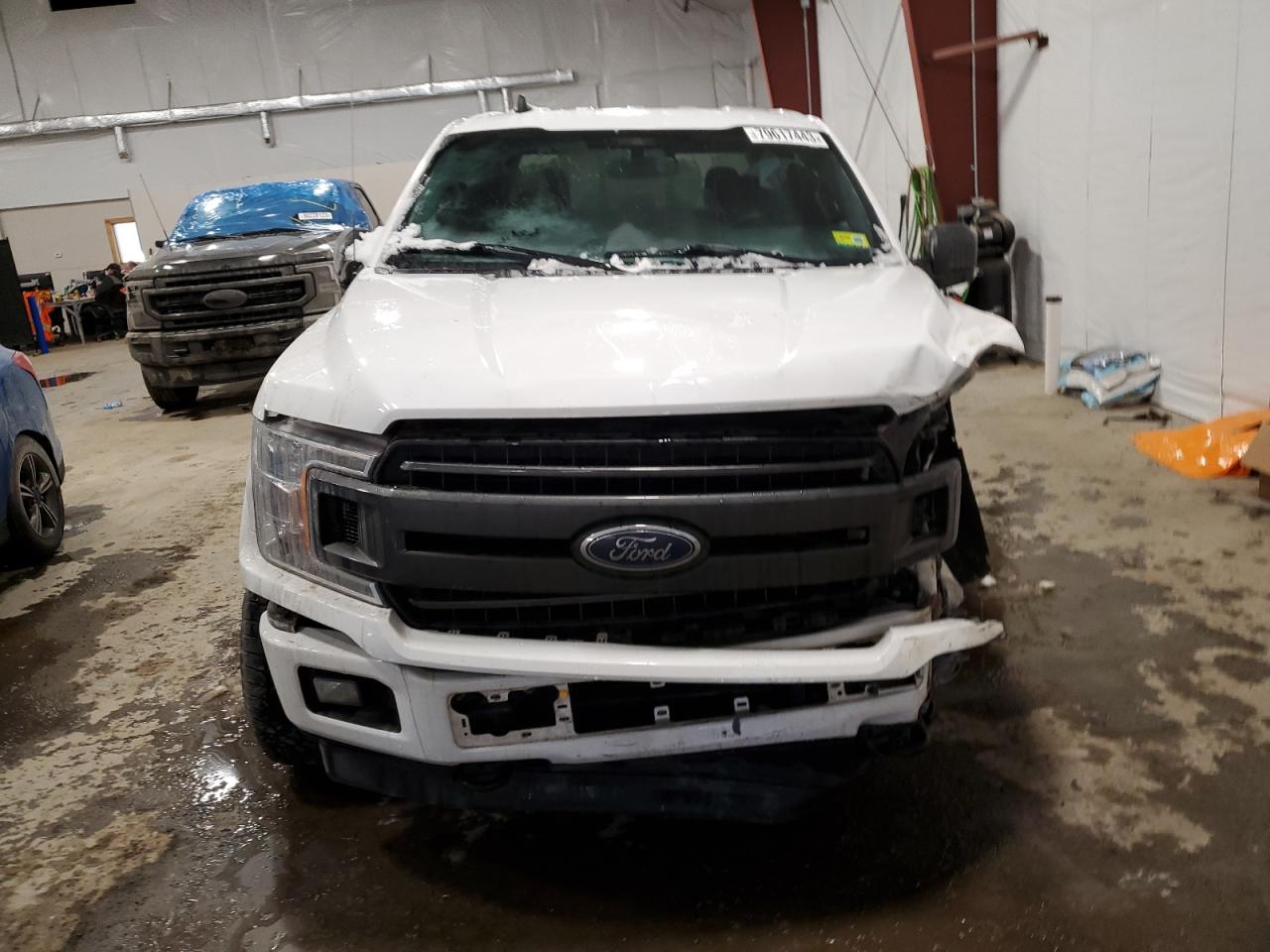1FTEW1EP2KFD24017 FORD F-150 2019