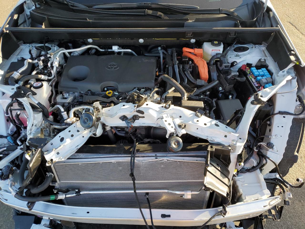 JTMEB3FV2PD143491 TOYOTA RAV4 2023