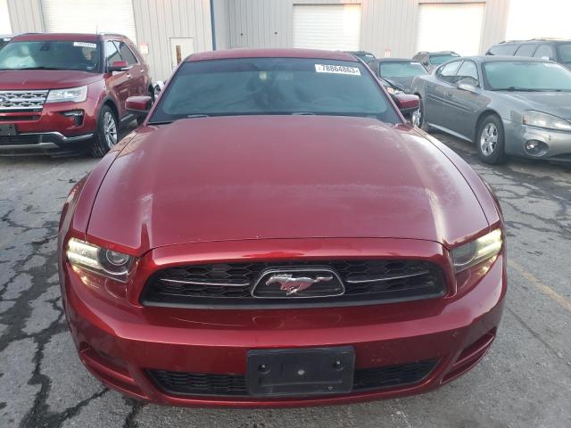 1ZVBP8AMXE5204770 | 2014 FORD MUSTANG