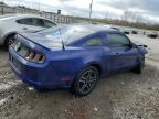 Lot #2390408094 2014 FORD MUSTANG