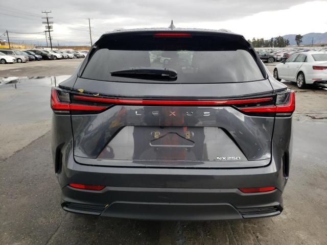 2023 LEXUS NX 250 2T2ADCAZ2PC003873