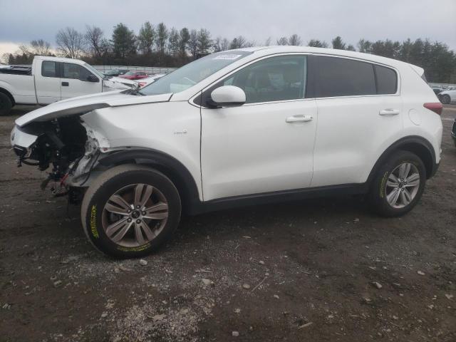 Vin: kndpmcac0k7563945, lot: 78132083, kia sportage lx 2019 img_1