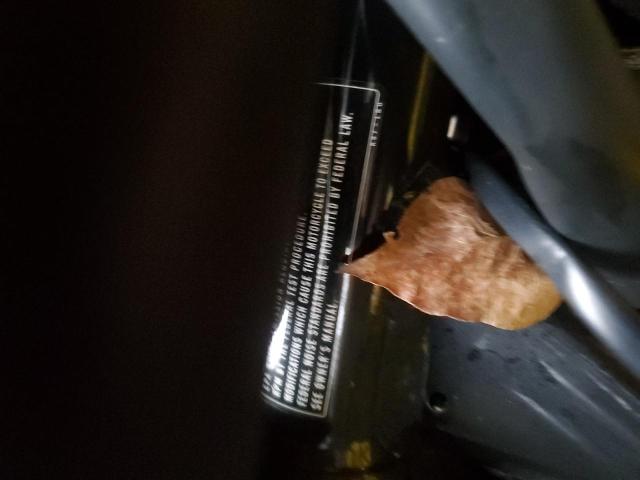 2022 HONDA CMX300 - MLHNC5300N5500740